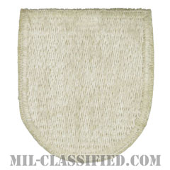 特殊部隊訓練群（Special Forces Training Group）[カラー/カットエッジ/ベレーフラッシュパッチ/1点物]の画像