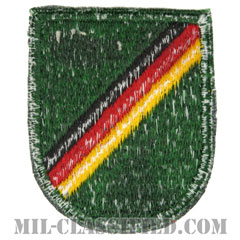 第10特殊部隊群（1st Battalion, 10th Special Forces Group）[カラー/カットエッジ/ベレーフラッシュパッチ/1点物]画像