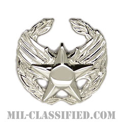 指揮官章（Commander's Badge）[カラー/鏡面仕上げ/バッジ]の画像