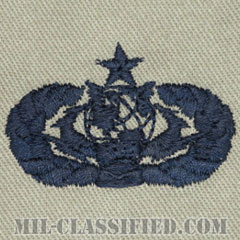 サイバースペース支援章 (シニア)（Cyberspace Support Badge, Senior）[ABU/パッチ]の画像