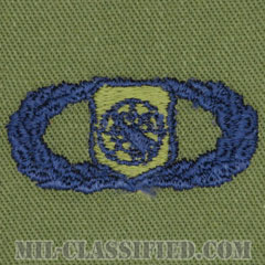 兵器指揮章 (ベーシック)（Weapons Director Badge, Basic）[サブデュード/ブルー刺繍/パッチ]の画像