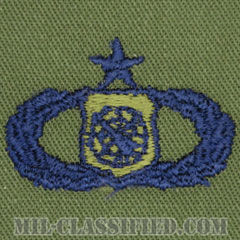 兵器指揮章 (シニア)（Weapons Director Badge, Senior）[サブデュード/ブルー刺繍/パッチ]の画像