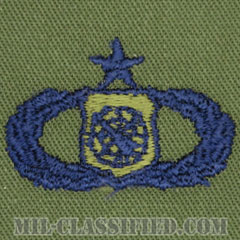 兵器指揮章 (シニア)（Weapons Director Badge, Senior）[サブデュード/ブルー刺繍/パッチ]画像