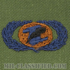 情報管理章 (ベーシック)（Information Management/Administration Badge, Basic）[サブデュード/ブルー刺繍/パッチ]の画像