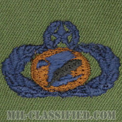 情報管理章 (マスター)（Information Management/Administration Badge, Master）[サブデュード/ブルー刺繍/パッチ]の画像