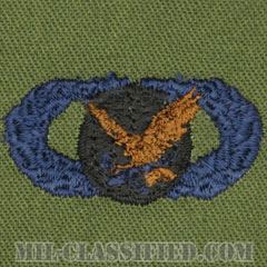 補給・燃料章 (ベーシック)（Supply and Fuels Badge, Basic）[サブデュード/ブルー刺繍/パッチ]の画像