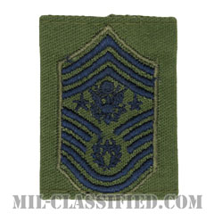 空軍最先任上級曹長（Chief Master Sergeant of the Air Force (CMSAF)）[サブデュード（Subdued）/ゴアテックスパーカー用スライドオン空軍階級章]の画像