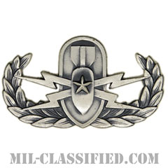 爆破物処理章 (シニア)（Explosive Ordnance Disposal (EOD), Badge, Senior）[カラー/燻し銀/バッジ]の画像