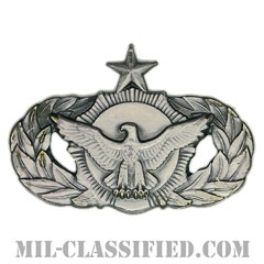 警備機能章 (シニア)（Security Police Functional Badge, Senior）[カラー/燻し銀/バッジ]の画像