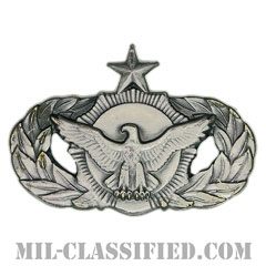 警備機能章 (シニア)（Security Police Functional Badge, Senior）[カラー/燻し銀/バッジ]画像