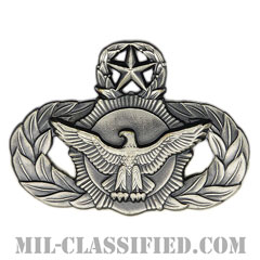 警備機能章 (マスター)（Security Police Functional Badge, Master）[カラー/燻し銀/バッジ]の画像