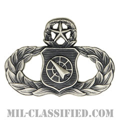 兵器指揮章 (マスター)（Weapons Director Badge, Master）[カラー/燻し銀/バッジ]の画像