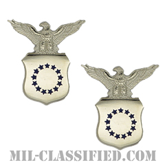 アメリカ合衆国副大統領補佐官（Aide to the Vice President of the United States）[カラー/バッジ/ペア（2個1組）]の画像