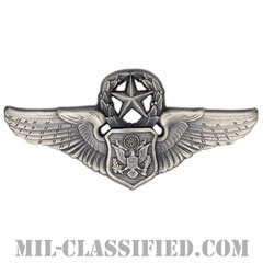 航空機搭乗員章 (将校用マスター・エアクルー)（Air Force Officer Master Aircrew Badge）[カラー/燻し銀/バッジ]画像