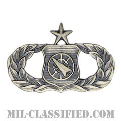 兵器指揮章 (シニア)（Weapons Director Badge, Senior）[カラー/燻し銀/バッジ]画像