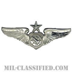 空中戦闘管制章 (シニア)（Air Battle Manager Badge, Senior）[カラー/鏡面仕上げ/バッジ]画像