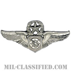 空中戦闘管制章 (マスター)（Air Battle Manager Badge, Master）[カラー/鏡面仕上げ/バッジ]画像