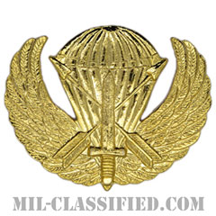 特殊部隊章（スペシャルフォース章）試作品（Special Forces Badge, Prototype）[カラー/1979-1981/バッジ/レプリカ]の画像