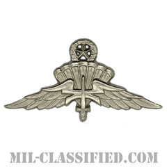 自由降下章（マスター）試作品（Military Freefall Parachutist Badge, HALO, Jumpmaster, Prototype）[カラー/1980s/バッジ/レプリカ]の画像