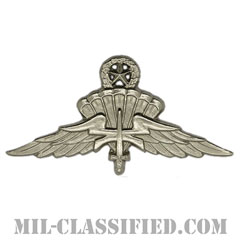 自由降下章（マスター）試作品（Military Freefall Parachutist Badge, HALO, Jumpmaster, Prototype）[カラー/1980s/バッジ/レプリカ]画像