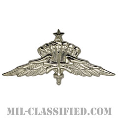 自由降下章（シニア）試作品（Military Freefall Parachutist Badge, HALO, Senior, Prototype）[カラー/1980s/バッジ/レプリカ]画像