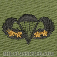 戦闘空挺章 (ベーシック) 降下4回（Combat Parachutist Badge, Basic, Four Jump）[サブデュード/パッチ]の画像