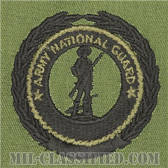州兵募兵維持章 (マスター)（Army National Guard Recruiting and Retention Badge, Master）[サブデュード/パッチ]画像