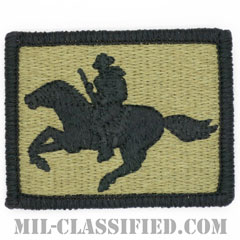 ワイオミング州 州兵（National Guard, Wyoming）[OCP/メロウエッジ/ベルクロ付パッチ]の画像