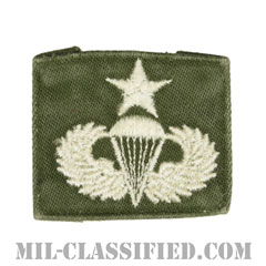 空挺章 (シニア)（Parachutist Badge, Senior, Senior）[カラー/パッチ/中古1点物]の画像