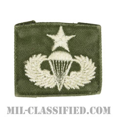 空挺章 (シニア)（Parachutist Badge, Senior, Senior）[カラー/パッチ/中古1点物]画像