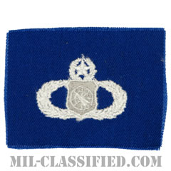 兵器指揮章 (マスター)（Weapons Director Badge, Master）[カラー/空軍ブルー生地/パッチ]の画像