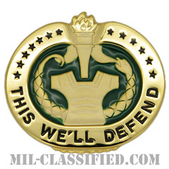 教育係軍曹識別章（Drill Sergeant Identification Badge）[カラー/バッジ]画像