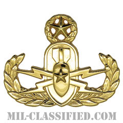 Explosive Ordnance Disposal Warfare Officer[カラー/バッジ]の画像