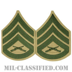 二等軍曹（Staff Sergeant (SSgt)）[グリーン・カーキ/海兵隊階級章/Large（男性用）/パッチ/ペア（2枚1組）]画像