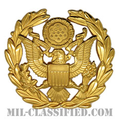 アメリカ陸軍制帽用帽章 (陸軍最先任上級曹長用)（Army Service Cap Device, Sergeant Major of the Army）[カラー/バッジ]の画像