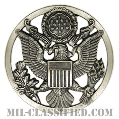 アメリカ空軍制帽用帽章 (下士官用・男性用)（Air Force Service Cap Device, Enlisted, Male）[カラー/燻し銀/バッジ]の画像