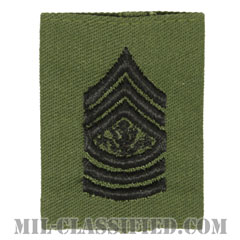 陸軍最先任上級曹長（Sergeant Major of the Army (SMA)）[サブデュード/ゴアテックスパーカー用スライドオン階級章]の画像