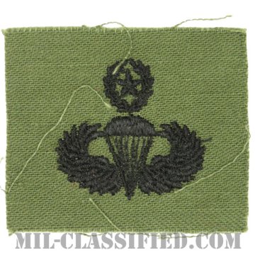 空挺章 (マスター)（Parachutist Badge, Master）[サブデュード/1960s/コットン100％/パッチ]画像