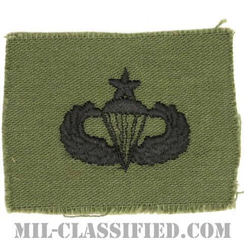 空挺章 (シニア)（Parachutist Badge, Senior, Senior）[サブデュード/1960s/コットン100％/パッチ]の画像