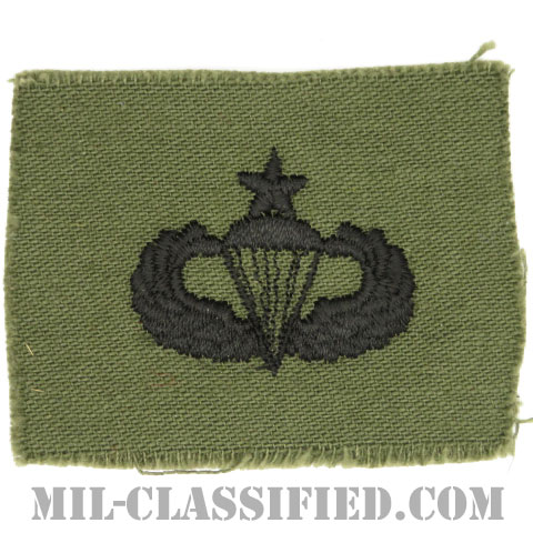 空挺章 (シニア)（Parachutist Badge, Senior, Senior）[サブデュード/1960s/コットン100％/パッチ]画像