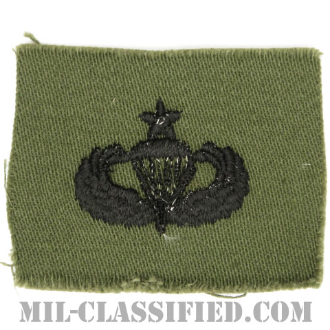 空挺章 (シニア)（Parachutist Badge, Senior, Senior）[サブデュード/1960s/コットン100％/パッチ]画像