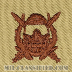 特殊作戦潜水員章（Diver Badge, Special Operations Diver）[デザート/パッチ]の画像
