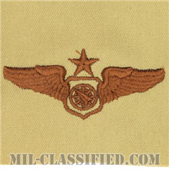 空中戦闘管制章 (シニア)（Air Battle Manager Badge, Senior）[デザート/パッチ]の画像