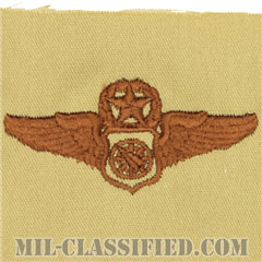 空中戦闘管制章 (マスター)（Air Battle Manager Badge, Master）[デザート/パッチ]の画像