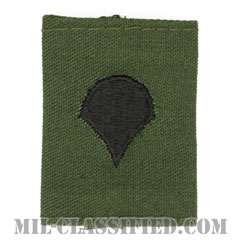 特技兵（Specialist (SPC)）[サブデュード/ゴアテックスパーカー用スライドオン階級章]の画像