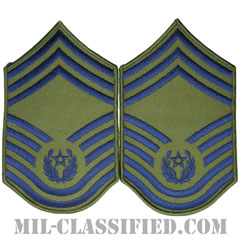 空軍最先任上級曹長（CMSAF）[サブデュード/メロウエッジ/空軍階級章（1991-2004）/Large（男性用）/パッチ/ペア（2枚1組）]画像