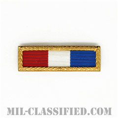 Philippine Presidential Unit Citation [リボン（略綬・略章・Ribbon）/スモールフレーム付/陸軍以外用部隊表彰（Unit Award）]画像
