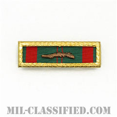 RVN Civil Actions Medal Unit Citation [リボン（略綬・略章・Ribbon）/スモールフレーム・パームデバイス付/陸軍以外用部隊表彰（Unit Award）]画像