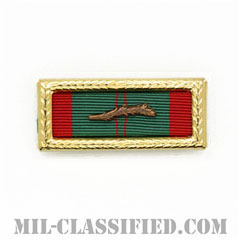 RVN Civil Actions Medal Unit Citation [リボン（略綬・略章・Ribbon）/ラージフレーム・パームデバイス付/陸軍用部隊表彰（Unit Award）]の画像