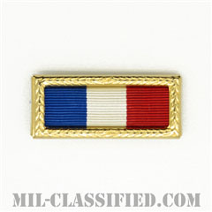 Philippine Presidential Unit Citation [リボン（略綬・略章・Ribbon）/ラージフレーム付/陸軍用部隊表彰（Unit Award）]の画像